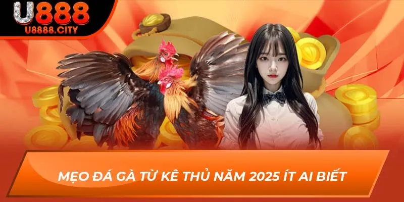 Chiến Thuật Chơi Đá Gà Từ Kê Thủ Hấp Dẫn Năm 2025 Số 1 2 Mẹo đá gà từ kê thủ năm 2025 ít ai biết