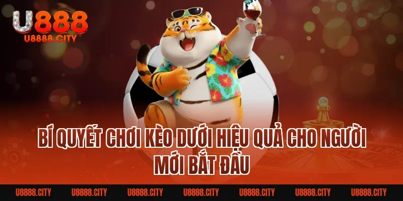 Bí Quyết Chơi Kèo Dưới Hiệu Quả Cho Người Mới Bắt Đầu